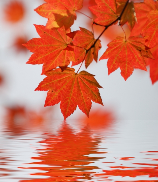 Fotolia_10058254_XL